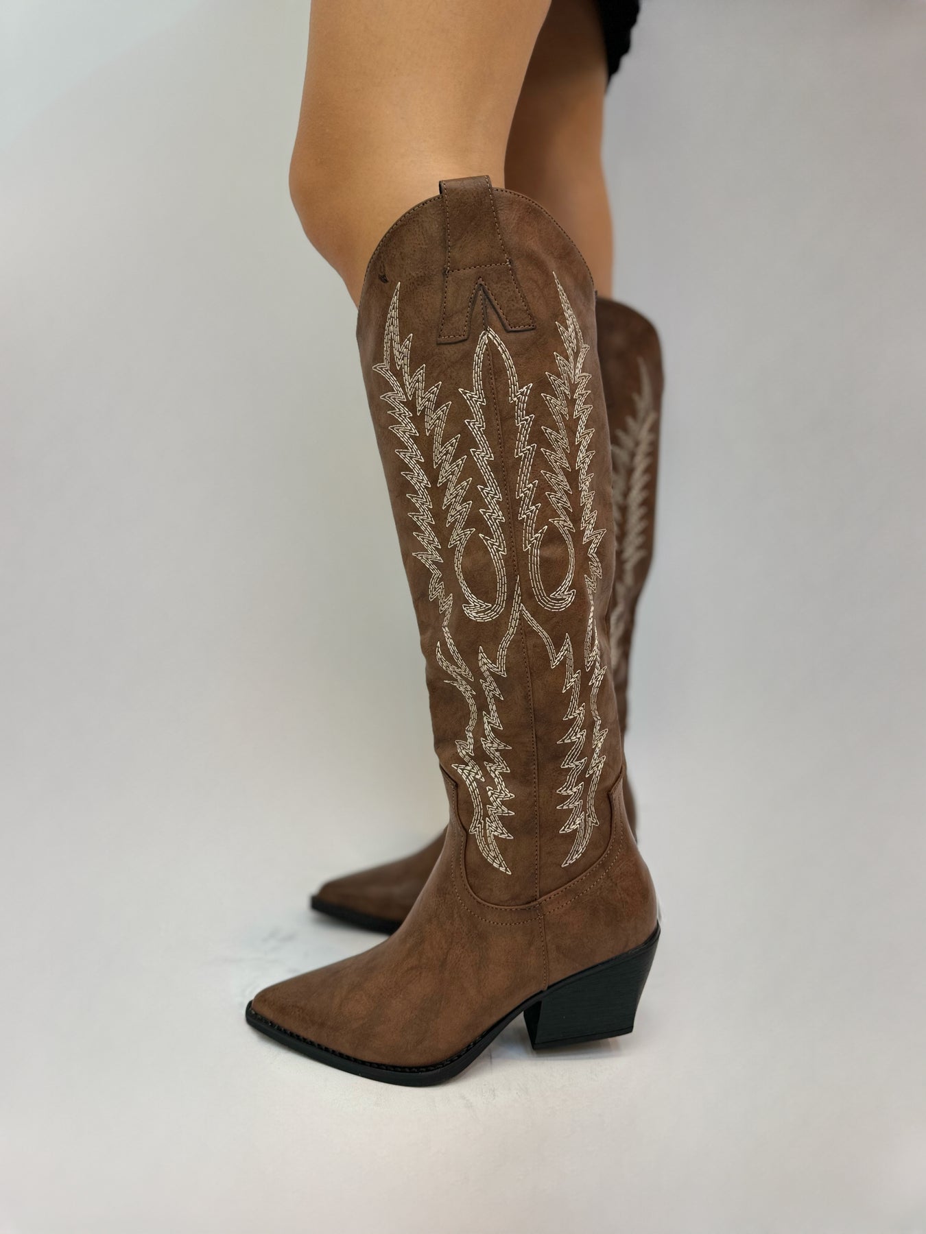 Stivali Frange Texano Camoscio Stivali Ash Texani Stivaletti