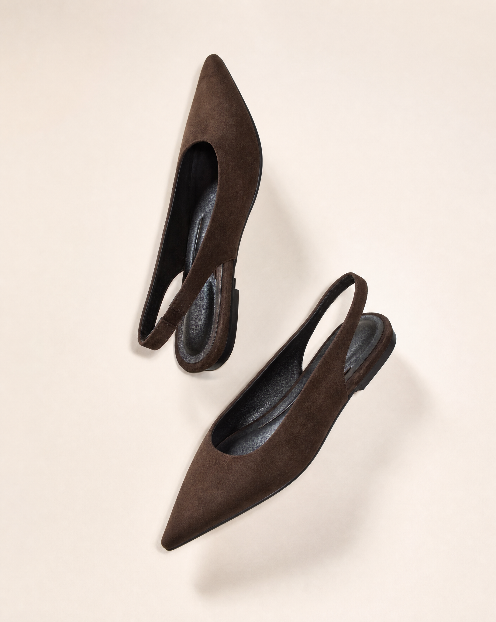 VB6159 Marrone vista laterale