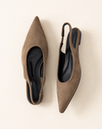 VB6159 Taupe vista dall'alto